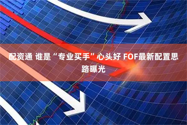 配资通 谁是“专业买手”心头好 FOF最新配置思路曝光